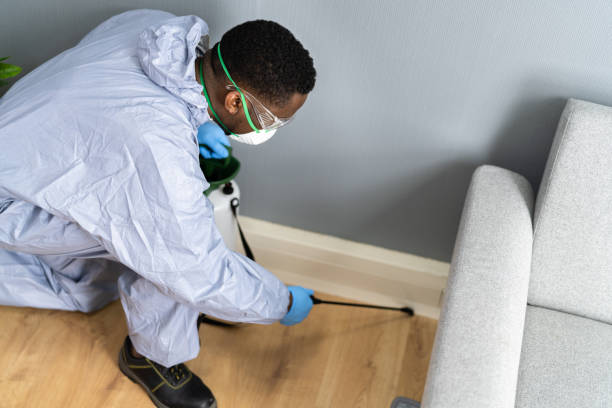 Professional Pest Control in Forest Meadows, CA